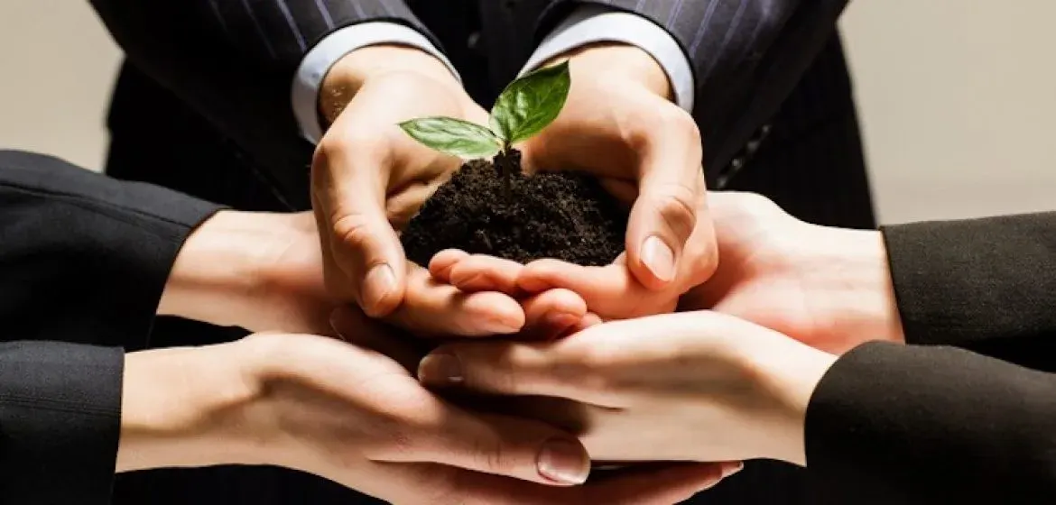 SAGE nuevo partner exclusivo de DRICLOUD